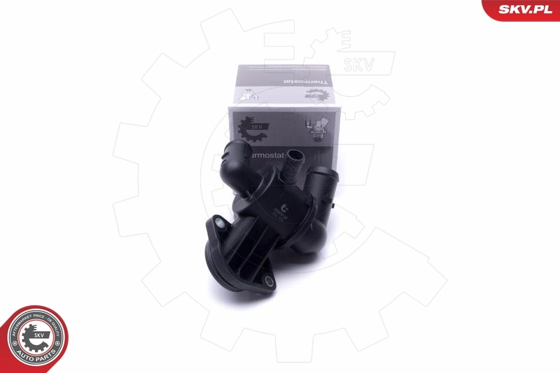 Thermostat, coolant